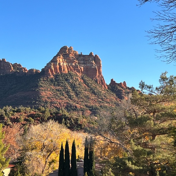 Meet your Posher, Holly - Picture 1 of 1